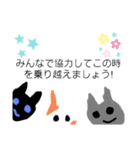 猫と一緒にコロナ対策（個別スタンプ：6）