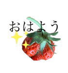 ケツアゴいちごくんスタンプ（個別スタンプ：1）