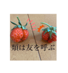 ケツアゴいちごくんスタンプ（個別スタンプ：9）