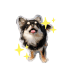 PINOさん(おためし)（個別スタンプ：2）