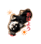 PINOさん(おためし)（個別スタンプ：5）