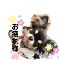 PINOさん(おためし)（個別スタンプ：6）
