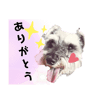 ときどき関西弁で一言（個別スタンプ：6）