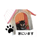 柴・チワワ・うさぎ（個別スタンプ：9）