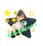 おいら、きんとん（個別スタンプ：6）