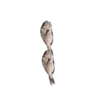 鯛 魚 デジタル 数字（個別スタンプ：2）