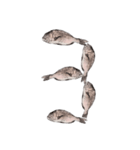 鯛 魚 デジタル 数字（個別スタンプ：3）