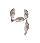 鯛 魚 デジタル 数字（個別スタンプ：5）