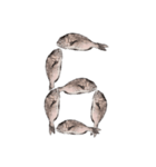 鯛 魚 デジタル 数字（個別スタンプ：7）