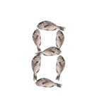 鯛 魚 デジタル 数字（個別スタンプ：9）