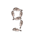 鯛 魚 デジタル 数字（個別スタンプ：10）