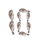 鯛 魚 デジタル 数字（個別スタンプ：11）