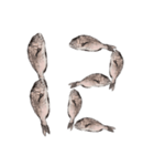 鯛 魚 デジタル 数字（個別スタンプ：13）