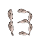 鯛 魚 デジタル 数字（個別スタンプ：14）