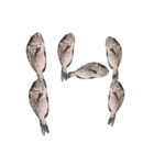 鯛 魚 デジタル 数字（個別スタンプ：15）