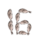鯛 魚 デジタル 数字（個別スタンプ：17）