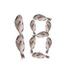 鯛 魚 デジタル 数字（個別スタンプ：19）