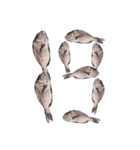 鯛 魚 デジタル 数字（個別スタンプ：20）