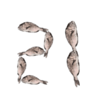 鯛 魚 デジタル 数字（個別スタンプ：22）