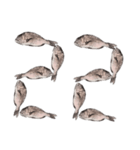 鯛 魚 デジタル 数字（個別スタンプ：23）
