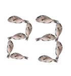 鯛 魚 デジタル 数字（個別スタンプ：24）