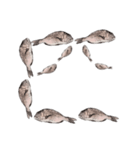 鯛 魚 デジタル 数字（個別スタンプ：28）