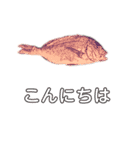 鯛 魚 デジタル 数字（個別スタンプ：29）