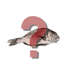 鯛 魚 デジタル 数字（個別スタンプ：30）