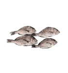 鯛 魚 デジタル 数字（個別スタンプ：32）