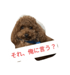 反抗期な室内犬（個別スタンプ：2）
