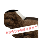 反抗期な室内犬（個別スタンプ：4）