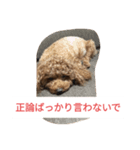 反抗期な室内犬（個別スタンプ：9）
