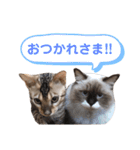 Vivi ＆ Luke（個別スタンプ：16）