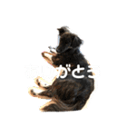 Dのつぶやき2（個別スタンプ：5）