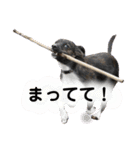 Dのつぶやき2（個別スタンプ：14）