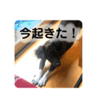 Dのつぶやき2（個別スタンプ：23）