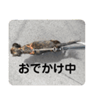 Dのつぶやき2（個別スタンプ：25）