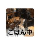 Dのつぶやき2（個別スタンプ：26）