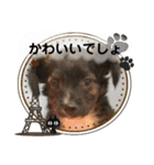 Dのつぶやき2（個別スタンプ：30）