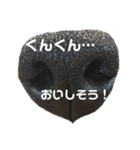 Dのつぶやき2（個別スタンプ：35）