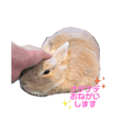 ららちゃん日和（個別スタンプ：2）
