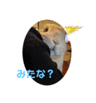 ららちゃん日和（個別スタンプ：7）