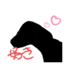 犬+猫（個別スタンプ：13）