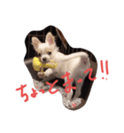 ちー太すたんぷ（個別スタンプ：6）