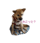 なっちゃんの独り言スタンプ（個別スタンプ：3）