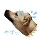 なっちゃんの独り言スタンプ（個別スタンプ：6）