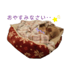 なっちゃんの独り言スタンプ（個別スタンプ：9）