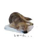 なっちゃんの独り言スタンプ（個別スタンプ：14）