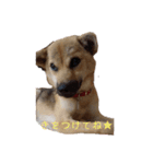 なっちゃんの独り言スタンプ（個別スタンプ：15）