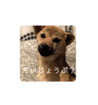 なっちゃんの独り言スタンプ（個別スタンプ：16）